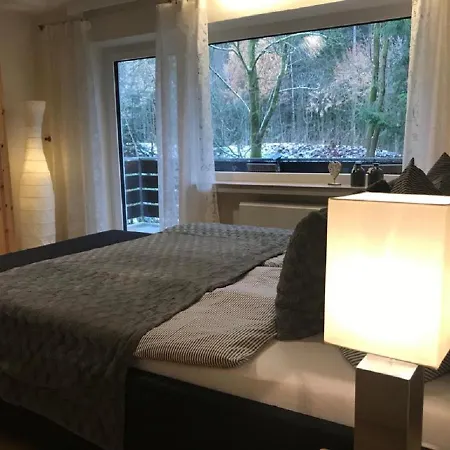 Apartment Am Bikepark Mit Kamin Und Sauna Winterberg