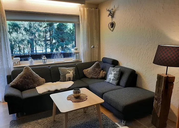 Am Bikepark Mit Kamin Und Sauna Apartment