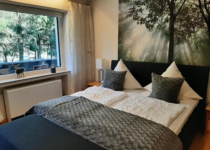 Am Bikepark Mit Kamin Und Sauna * Winterberg